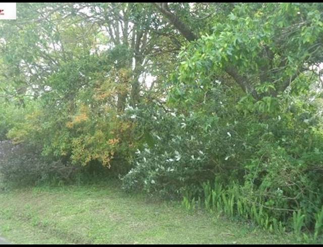 LAND FOR SALE IN LEISURE BAY